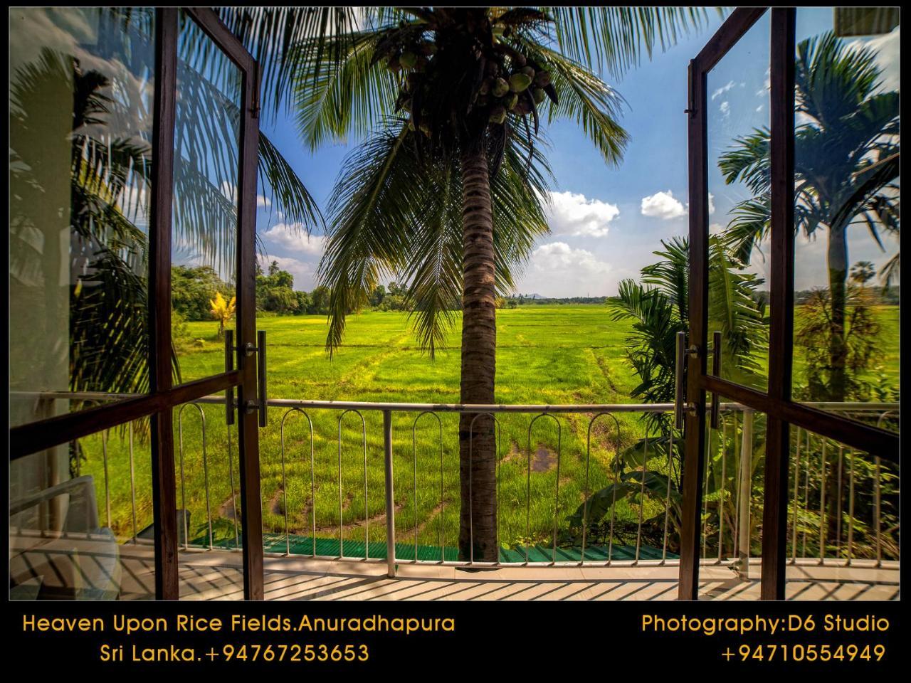 Heaven Upon Rice Fields Anuradhapura