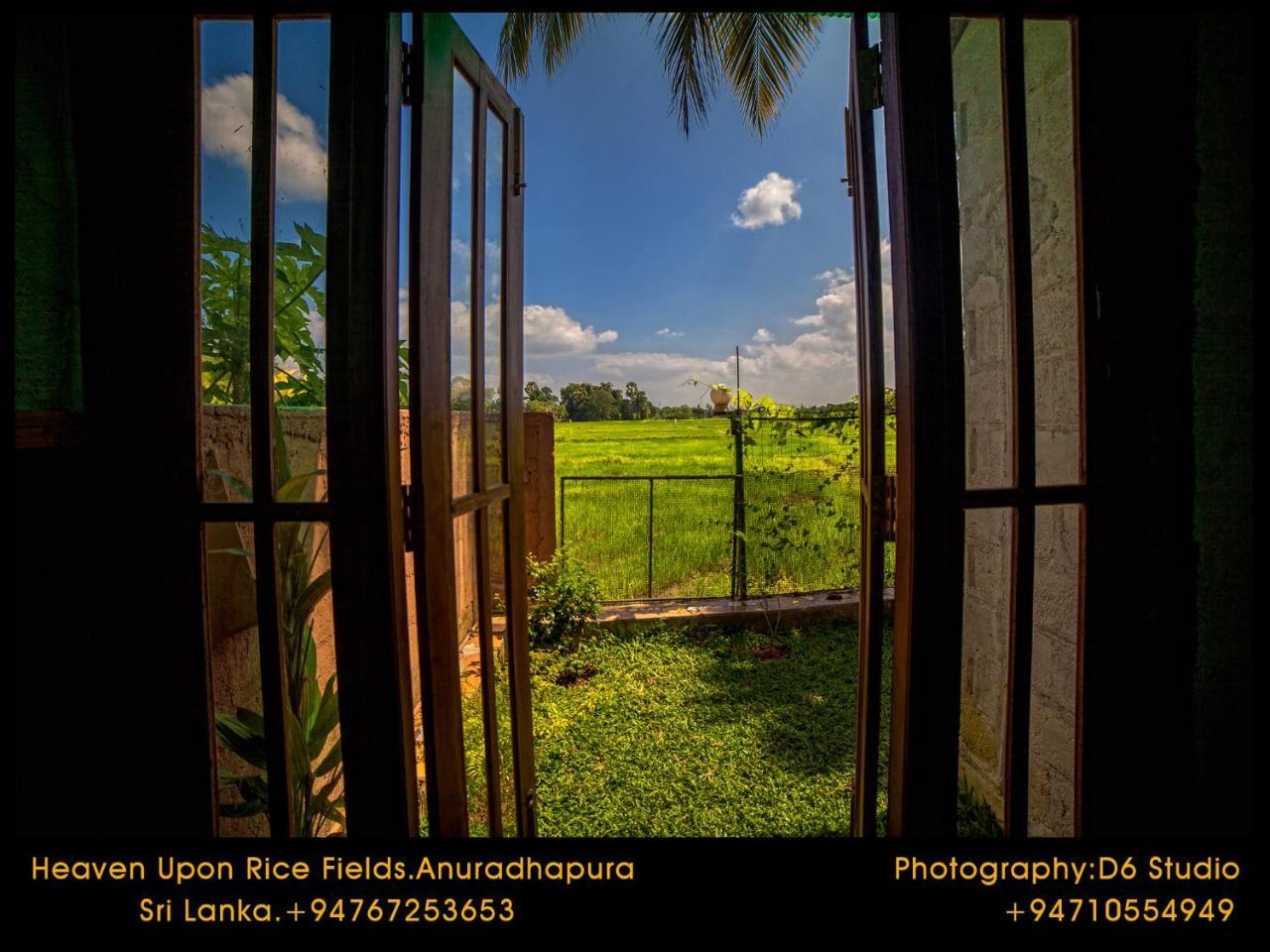 Bed & Breakfast Heaven Upon Rice Fields *