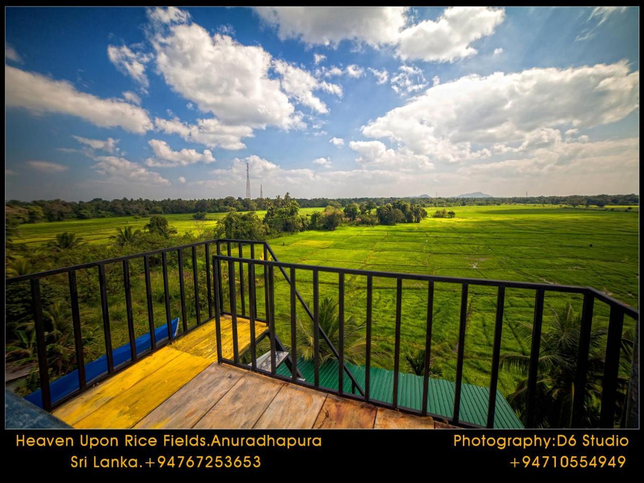 Heaven Upon Rice Fields Bed & Breakfast Anuradhapura