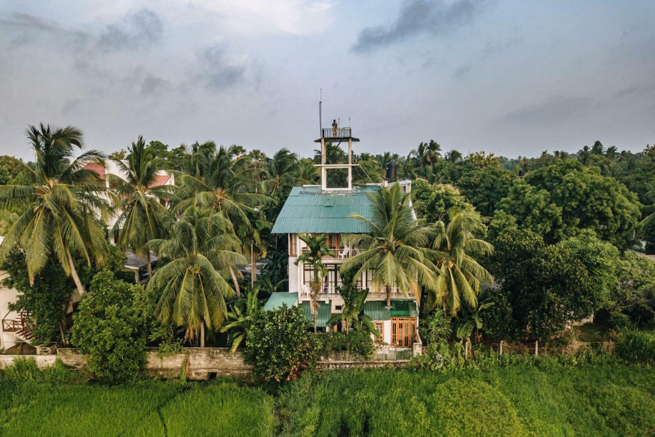 Heaven Upon Rice Fields * Anuradhapura